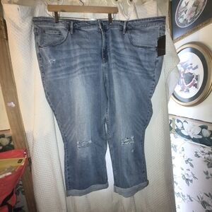 Candace Cameron Bure Distressed Blue Ankle Jeans